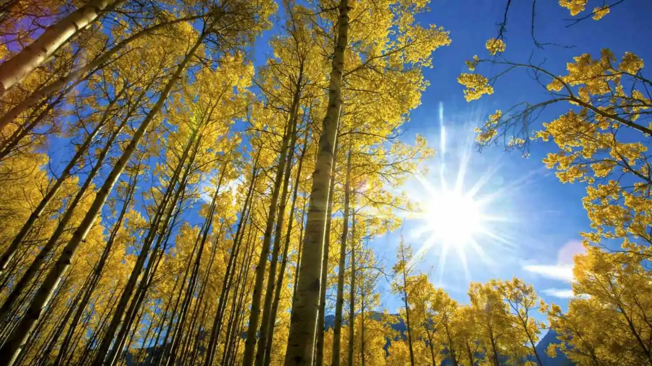 ميني صيفيّة في تشرين: الحرارة 30