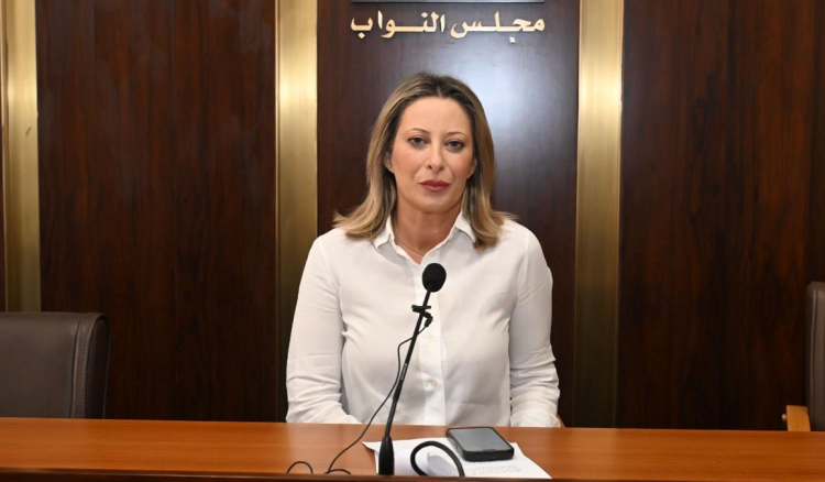 أيوب: الضغوط على لبنان لتنفيذ قرار حصر السلاح