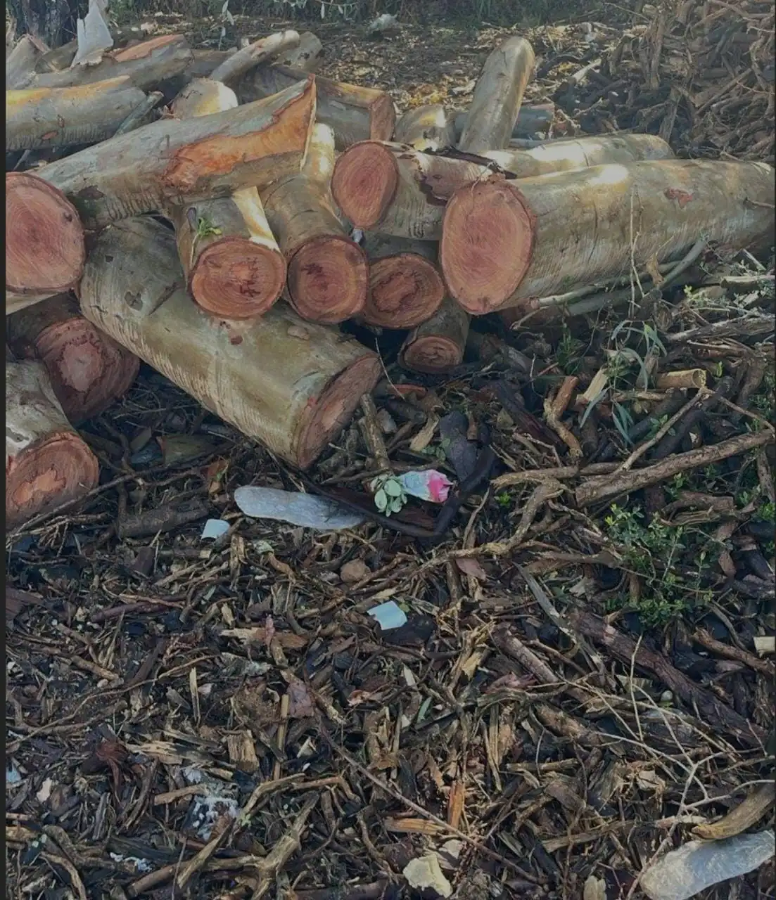 مخزن من نوع آخر في الجنوب… وقوى الأمن تتحرّك