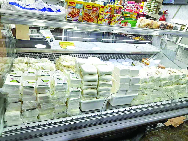 ألبان وأجبان مصنّعة بزيوت نباتية