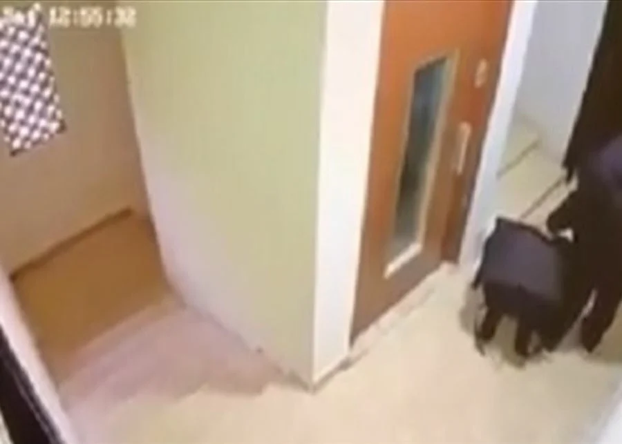 جريمة جسر الباشا